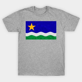 State flag of Minnesota T-Shirt